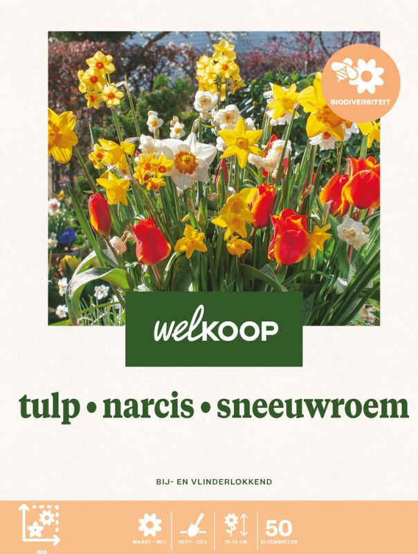 Welkoop Tulp Narcis Sneeuwroem - Biodiversiteit - Bloembollen