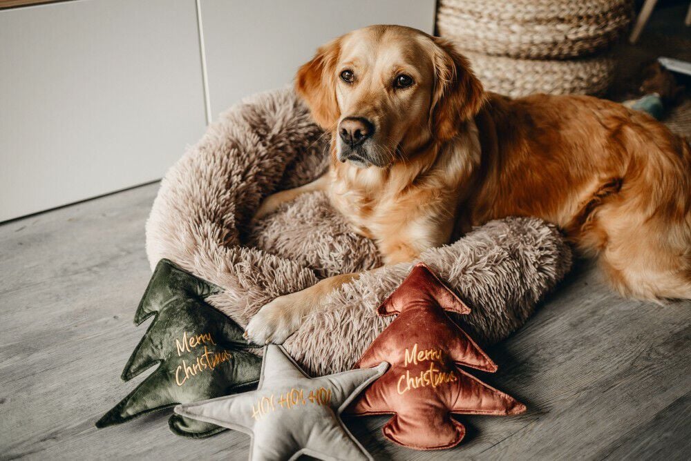 Designed By Lotte Kerstster Knuffel - Hondenspeelgoed - grijs - 29x27x27 cm