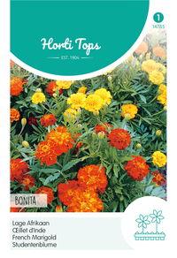 Hortitops  Lage Afrikaan Bonita - Bloemzaden