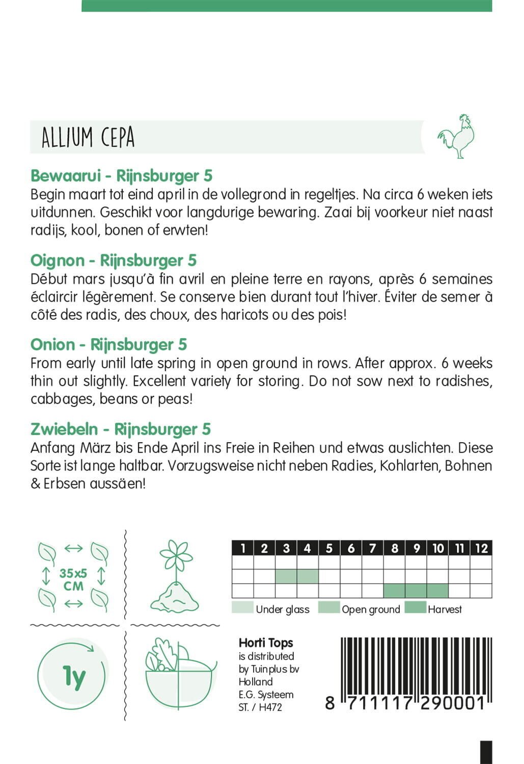 Hortitops Uien Allium cepa Rijnsburger, Bolronde Gele - Uien