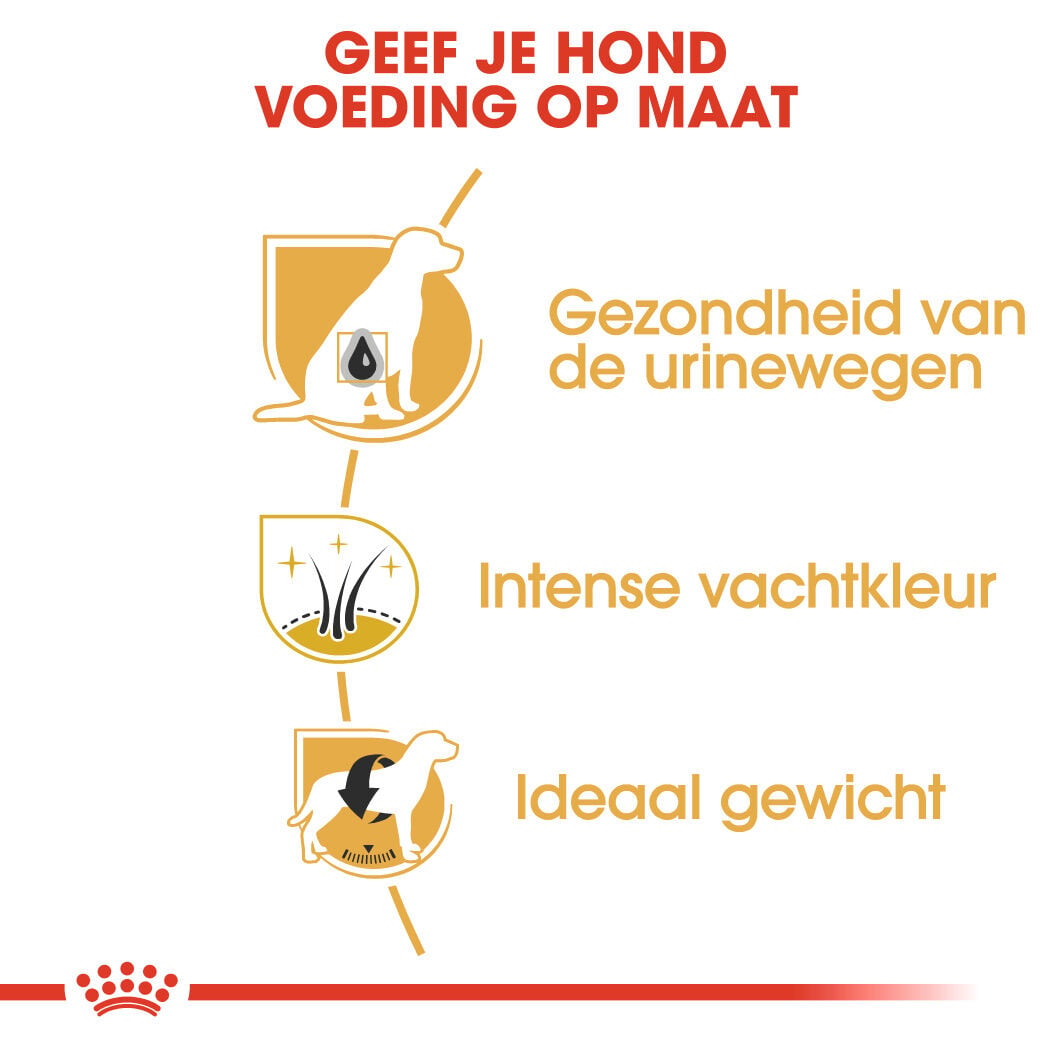 Royal Canin BHN Mini Schnauzer Adult - Hondenvoer - 3 Kilogram - gevogelte