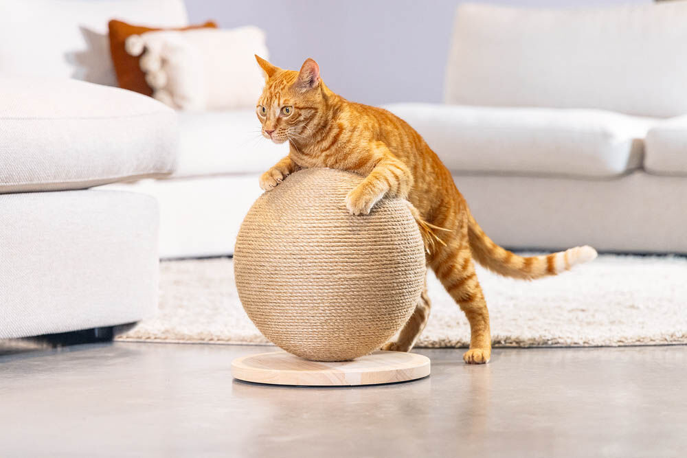 Designed by Lotte Balty - Krabbol - Zand - 28x30x30.2 cm