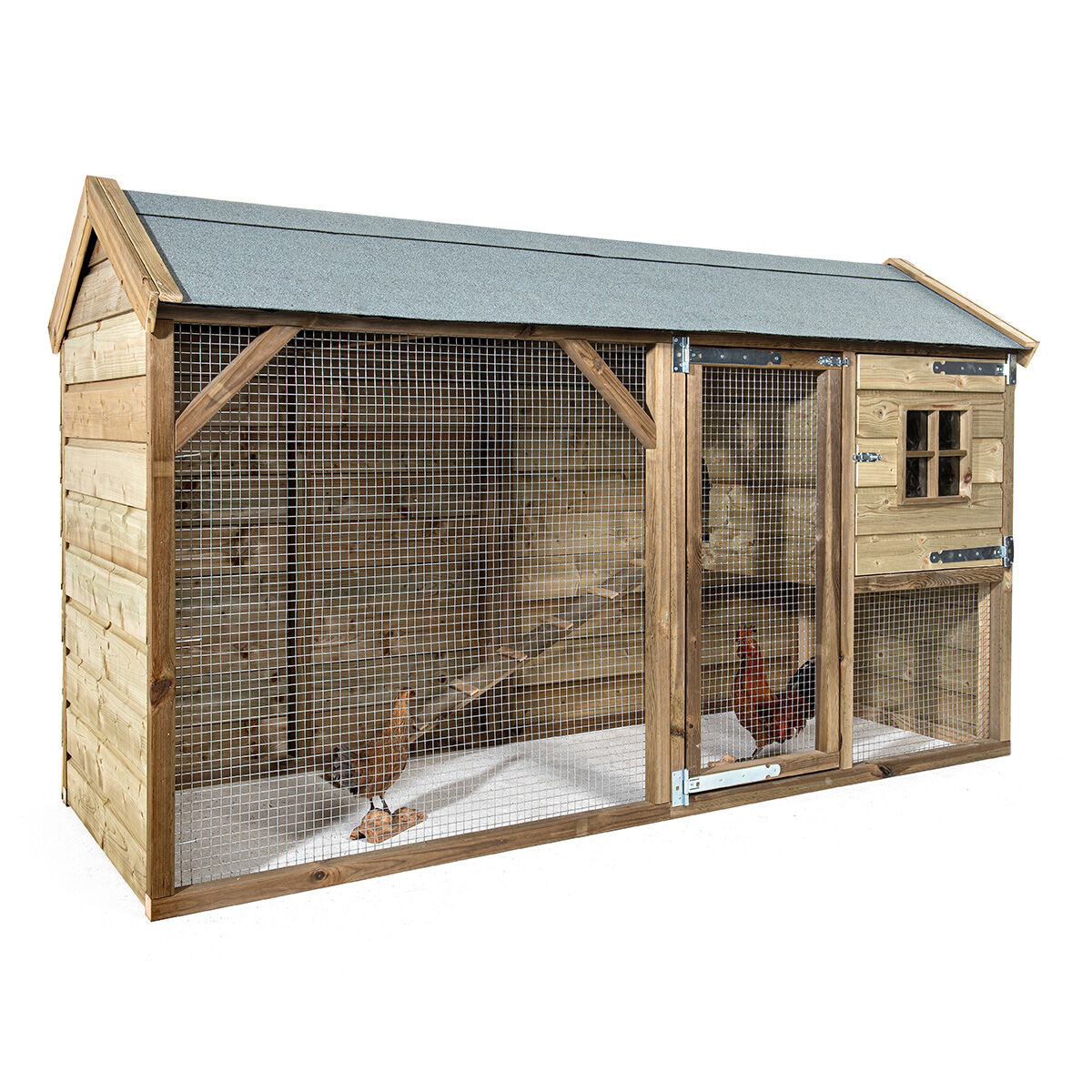 Glorenza  Kiki - Kippenhok