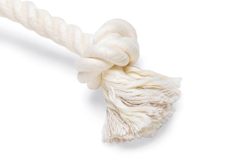 Beeztees Lolly Flostouw - Kerst Hondenspeelgoed - 37x11x5.3 cm