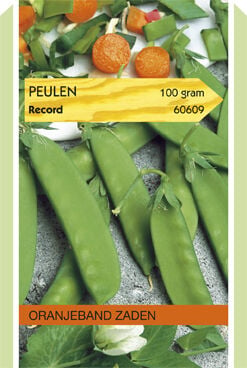 Oranjeband zaden Peulen Record - Groentezaden