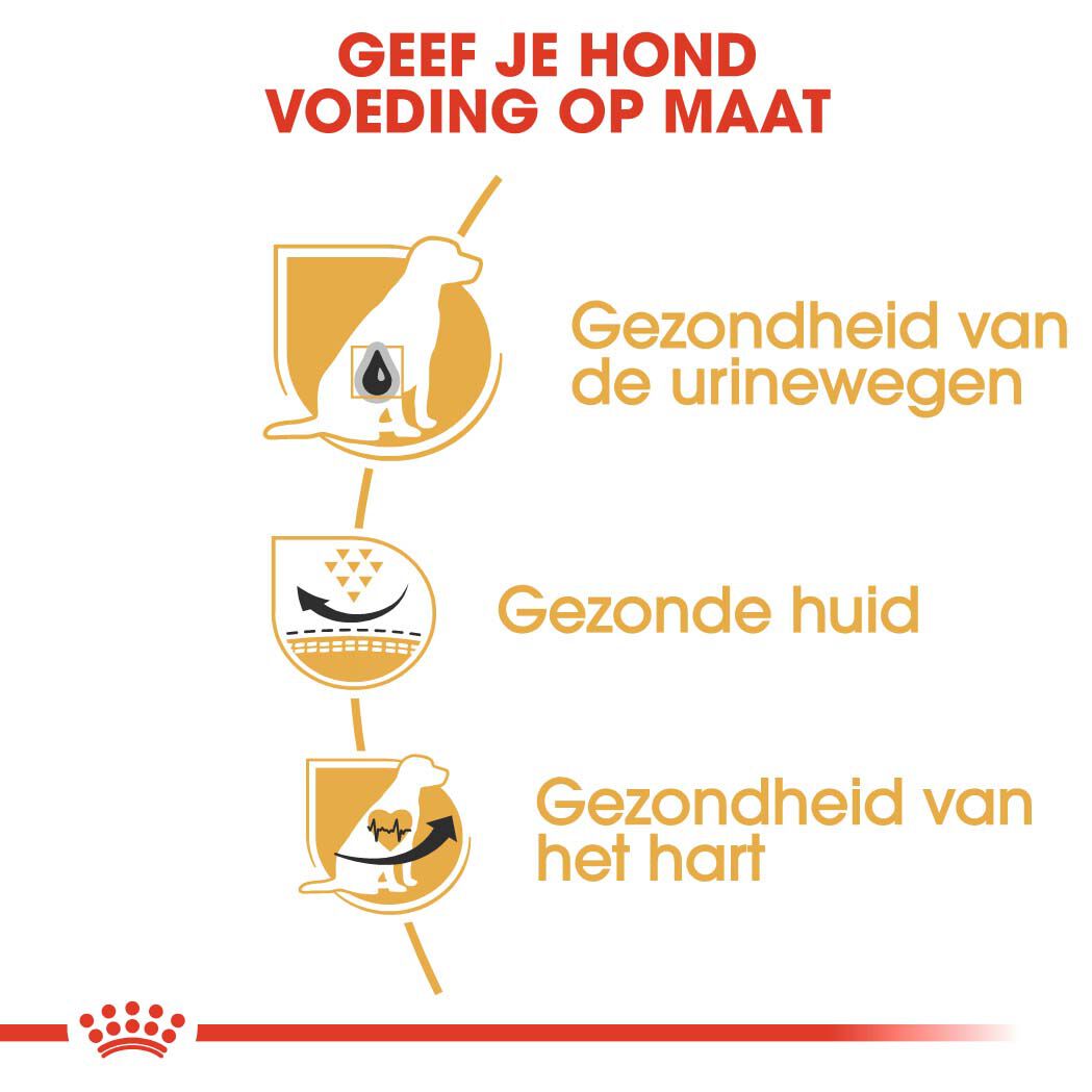 Royal Canin Dalmatian  Adult - Hondenvoer - 12 Kilogram - gevogelte