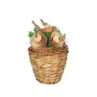 Quapas! Bloempot - Knaagdierspeelgoed - 12x7x7 cm