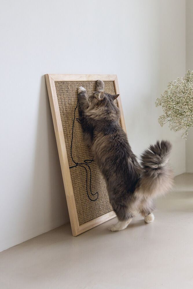 Designed by Lotte Poezels - Krabplank - Naturel - 72x70x2.8 cm