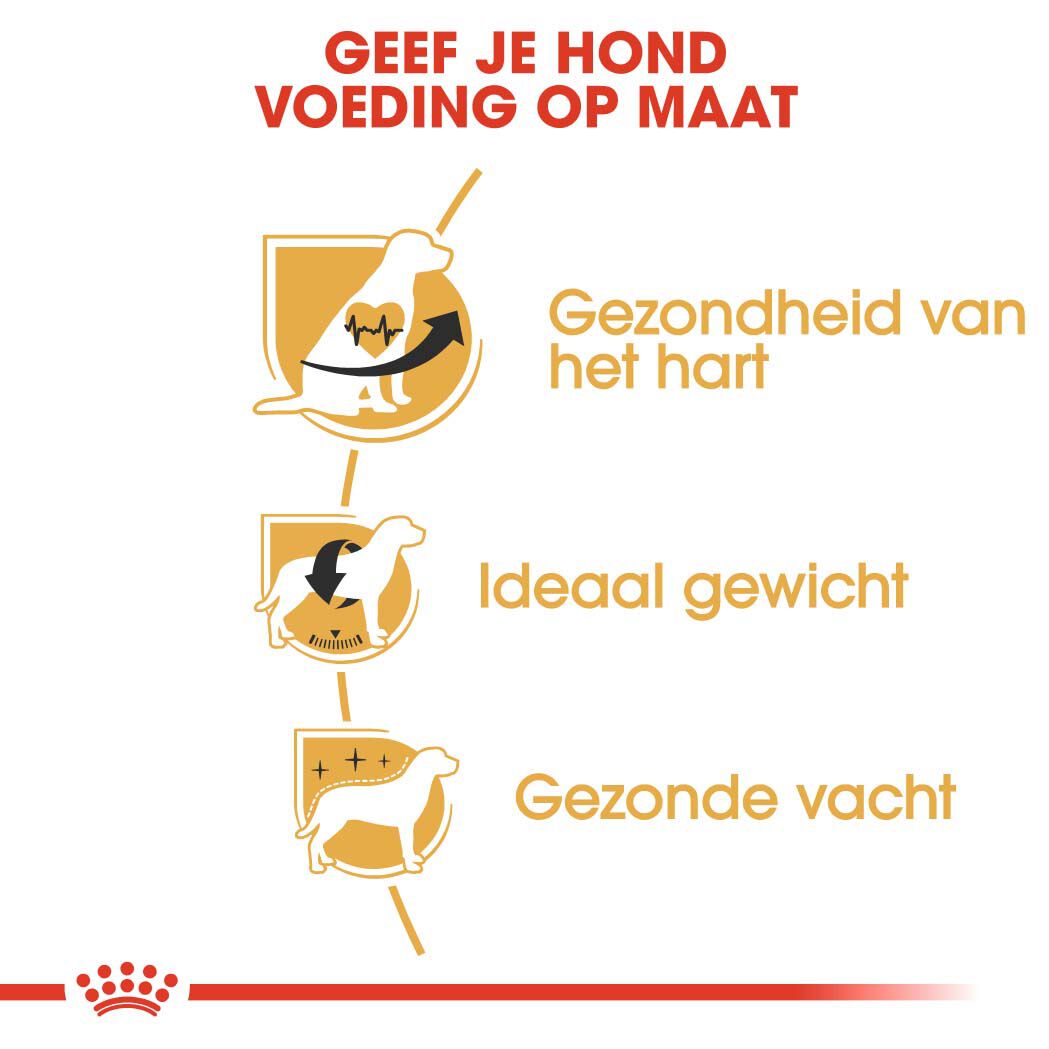 Royal Canin Cavalier King Charles  Adult - Hondenvoer - 1.5 Kilogram - gevogelte