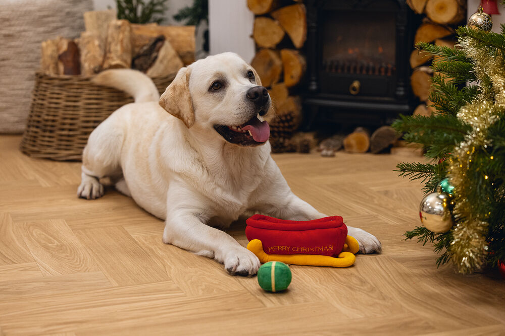 Beeztees Kerstslee Hide and Seek - Denkspel - Puzzel - Hondenspeelgoed - rood