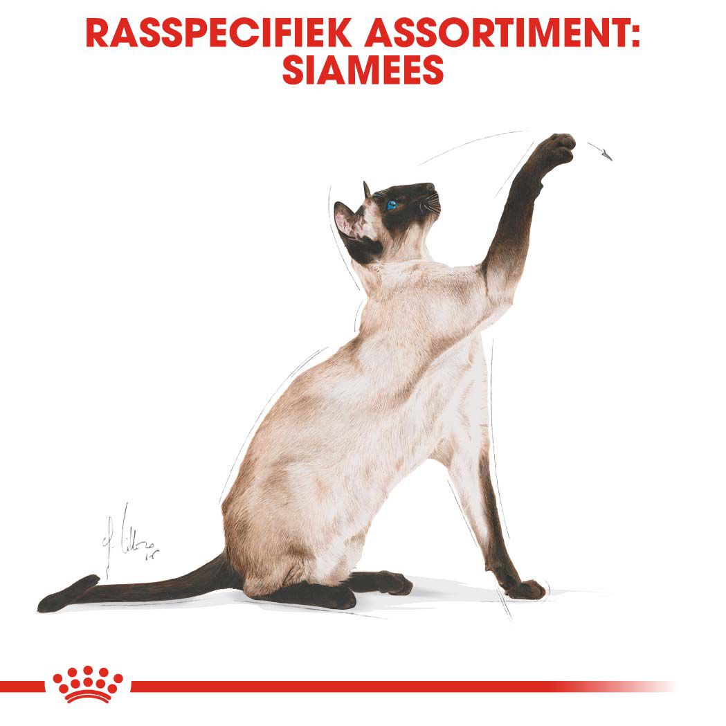 Royal Canin Siamese Adult - Kattenvoer - 10 Kilogram - Gevogelte