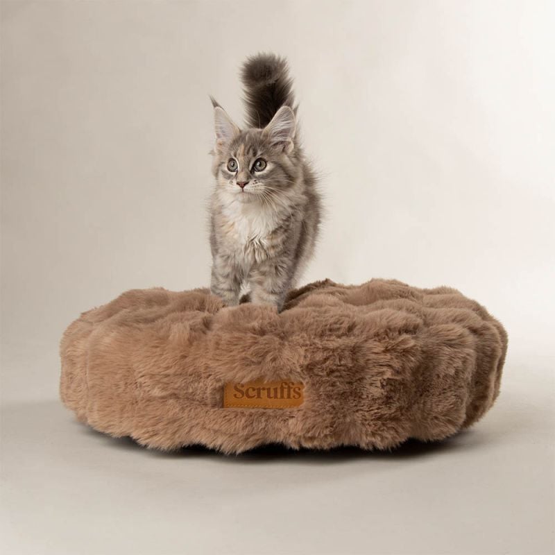 Scruffs Alpine - Kattenmand - Bruin - 12x50x50 cm - XS