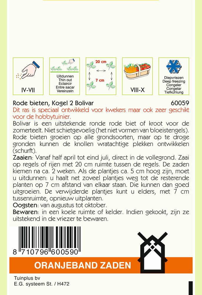 Oranjeband zaden Rode biet Kogel 2 Bolivar - Groentezaden