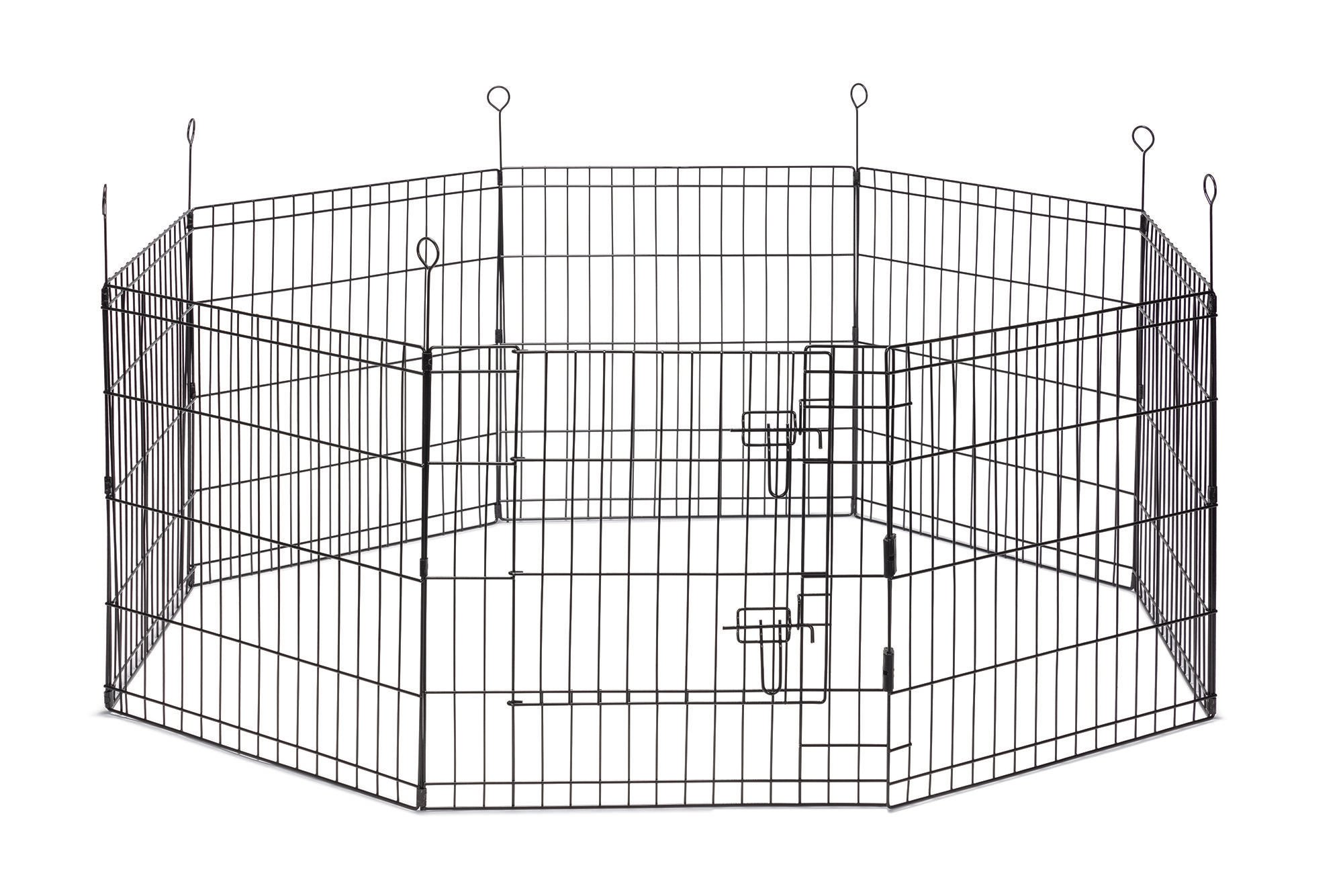 Beeztees Ted - Premium Puppyren - Zwart