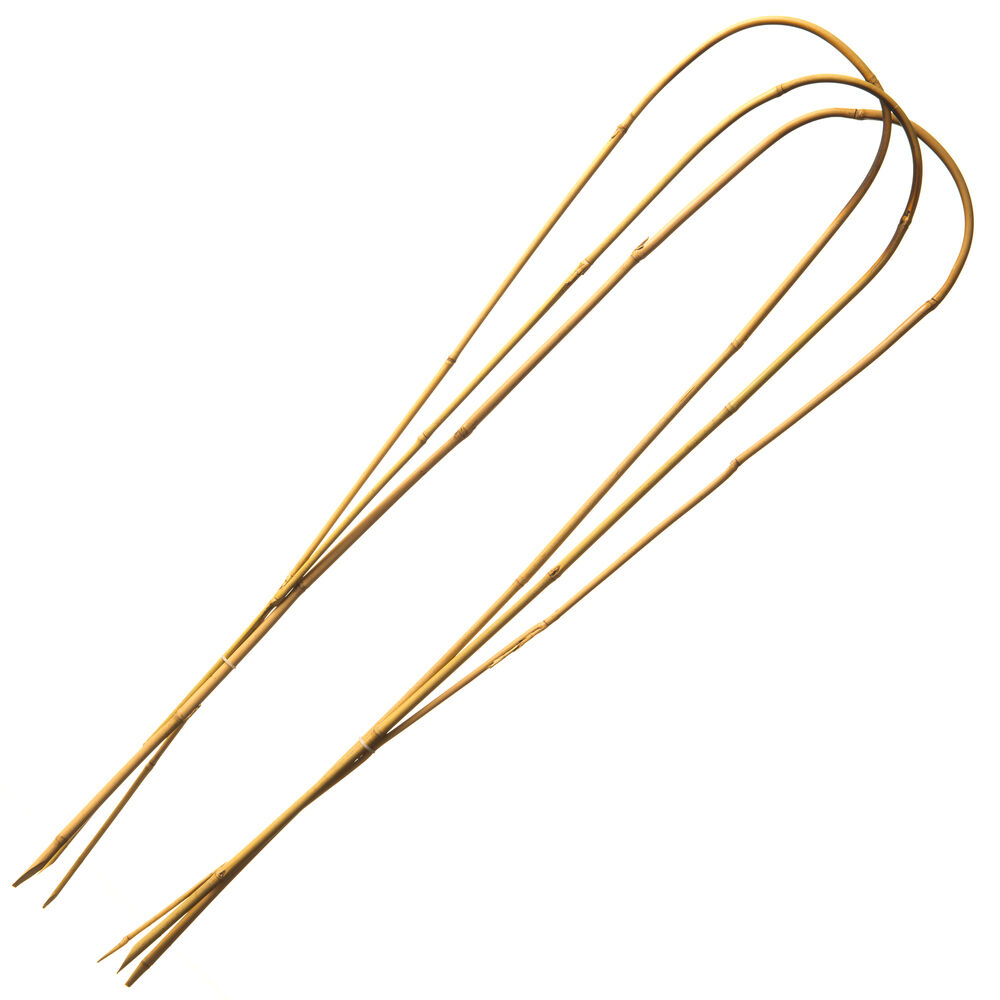 Nature - Gebogen Bamboestokken