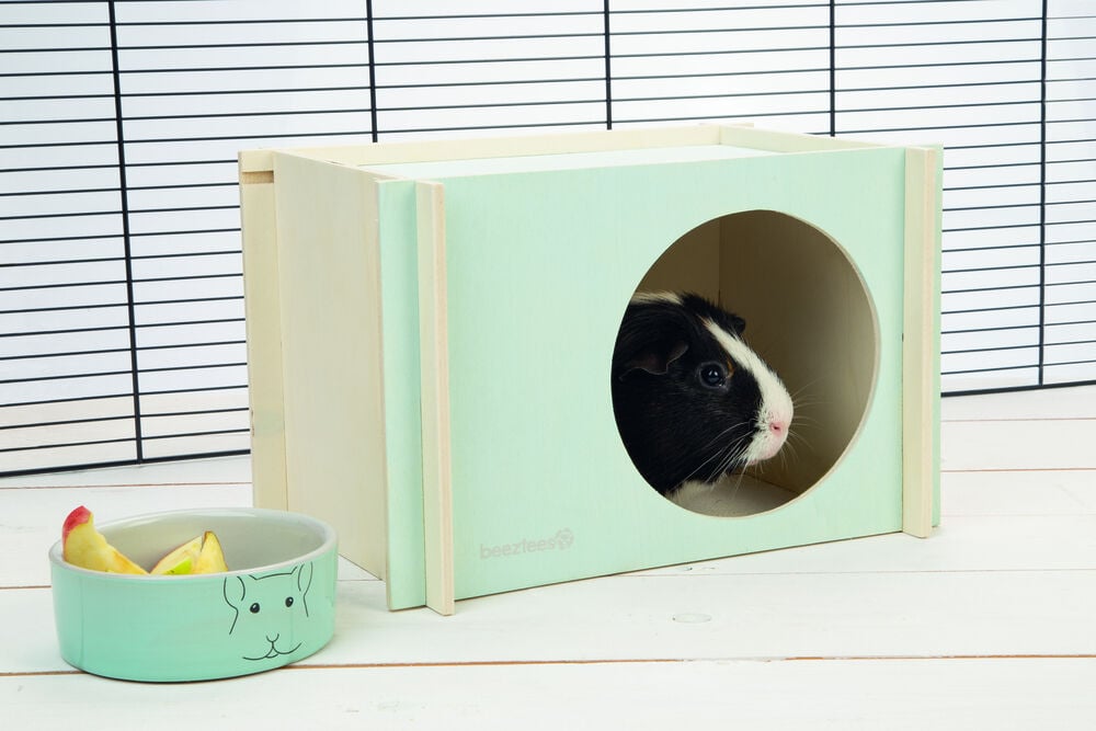 Beeztees Bildup - Caviahuis - Mint - 18x20x28 cm - M