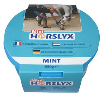 Horslyx Mini - Liksteen - 650 Gram - munt