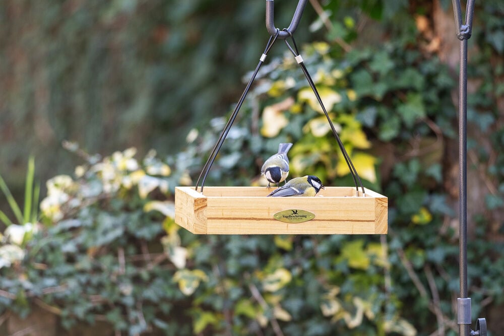 CJ Wildbird Foods Aarhus - Voederhuis - 30x30x5.7 cm