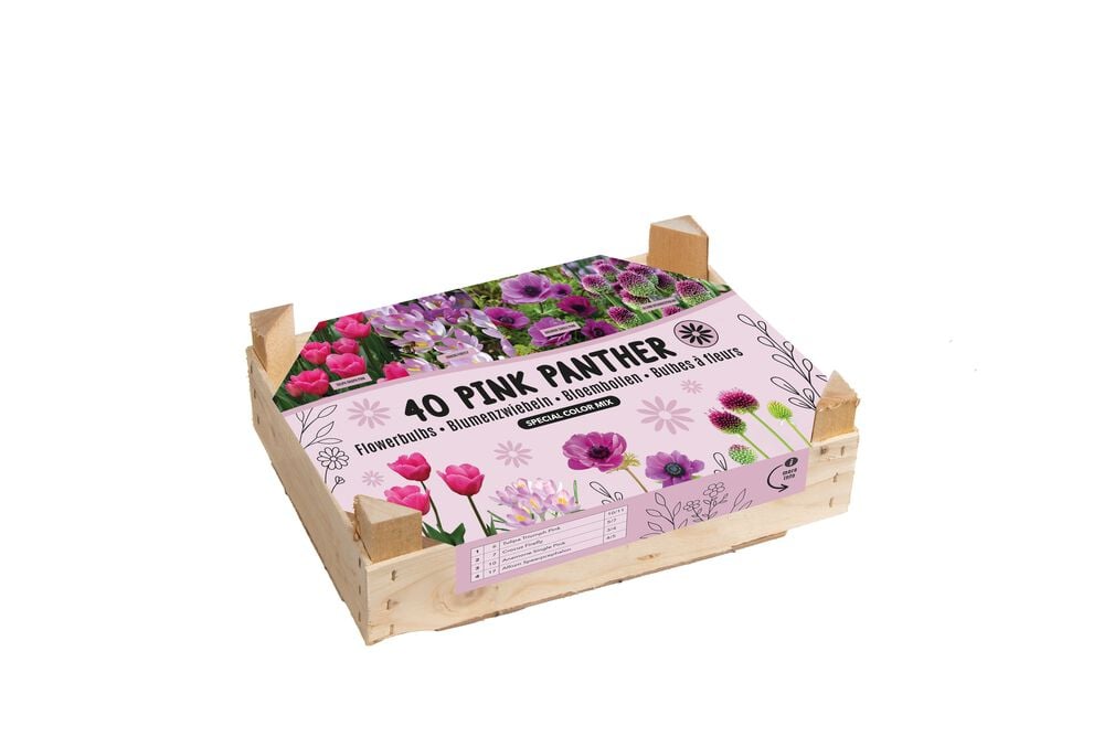 Florex Bloembollen mix - in Kistje