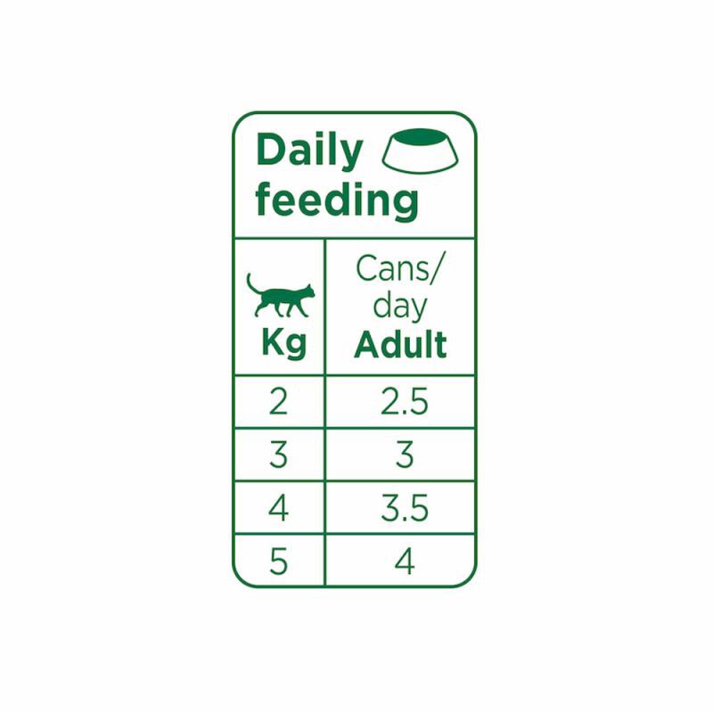 Prins Chunky Paté - Kattenvoer - 70 Gram - eend