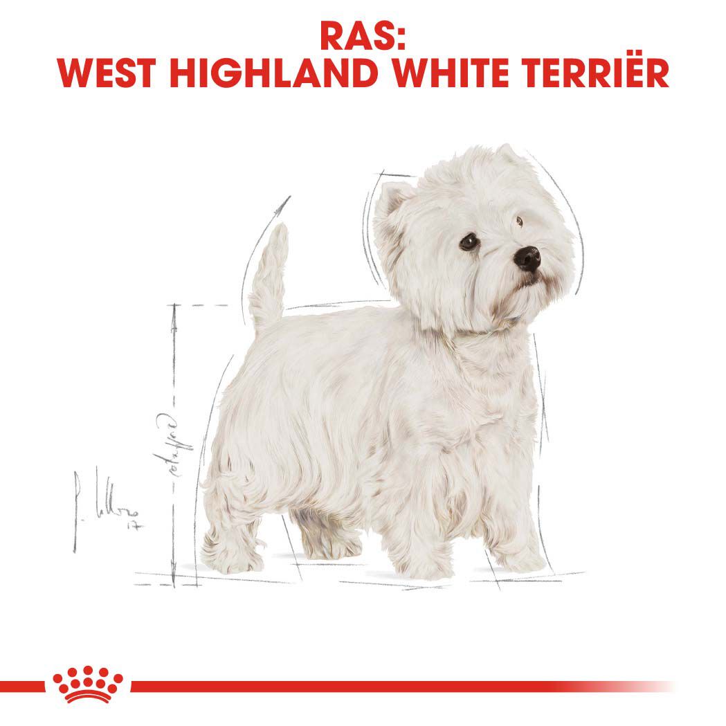 Royal Canin West Highland White Terrier Adult - Hondenvoer - 3 Kilogram - gevogelte