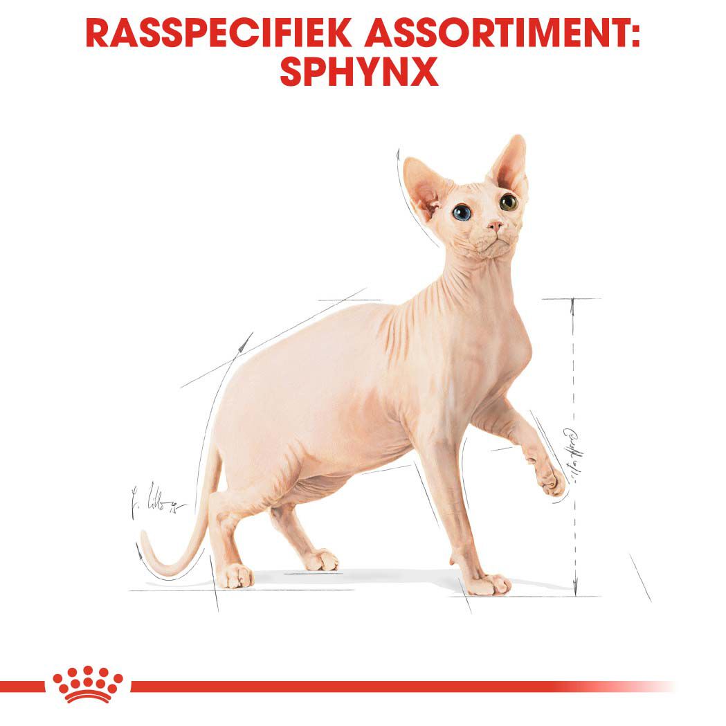 Royal Canin Sphynx Adult  - Kattenvoer - 2 Kilogram - Gevogelte