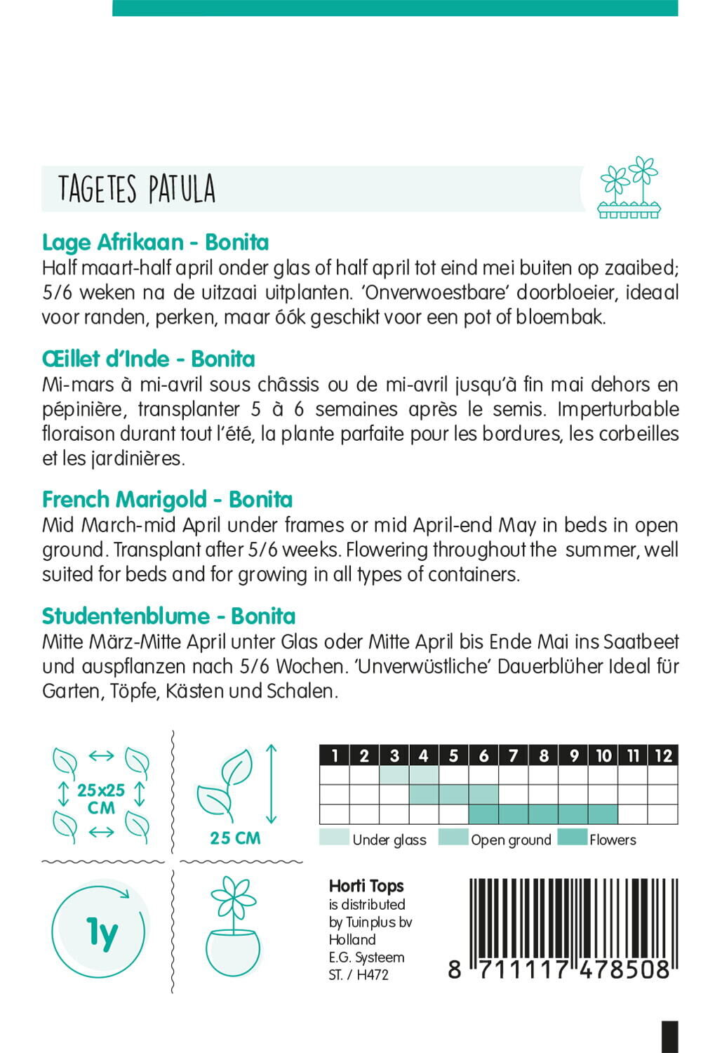Hortitops  Lage Afrikaan Bonita - Bloemzaden