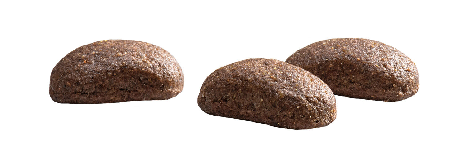 Prins Protection Croque Lamb Hypoallergenic - Hondenvoer - 2 Kilogram - Lam & rijst