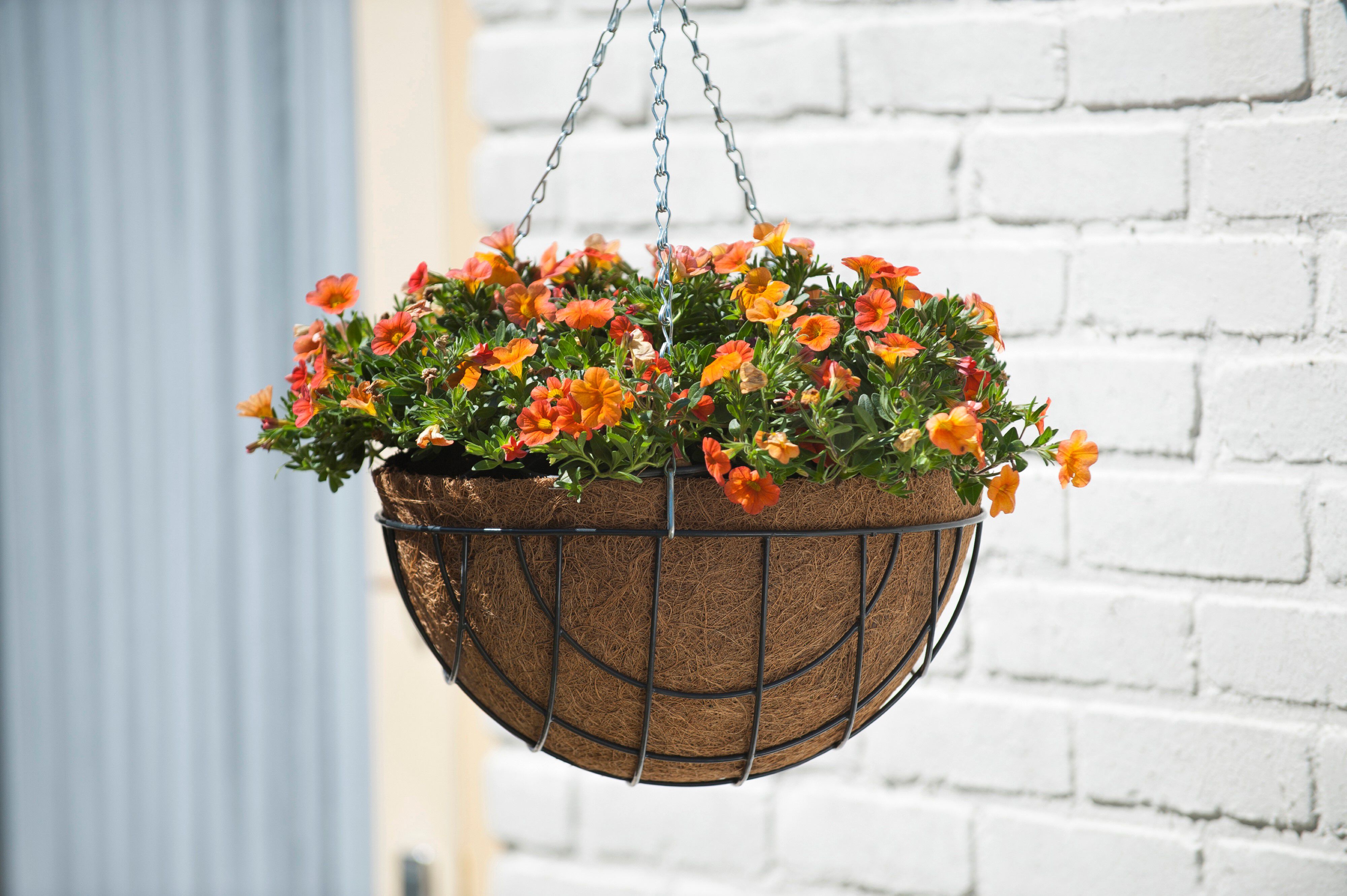 Nature  - Hanging basket - Groen - 30 cm