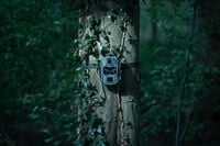 Camouflage EZ2 Ultra - Wildcamera - 7.2x10.3x14 cm