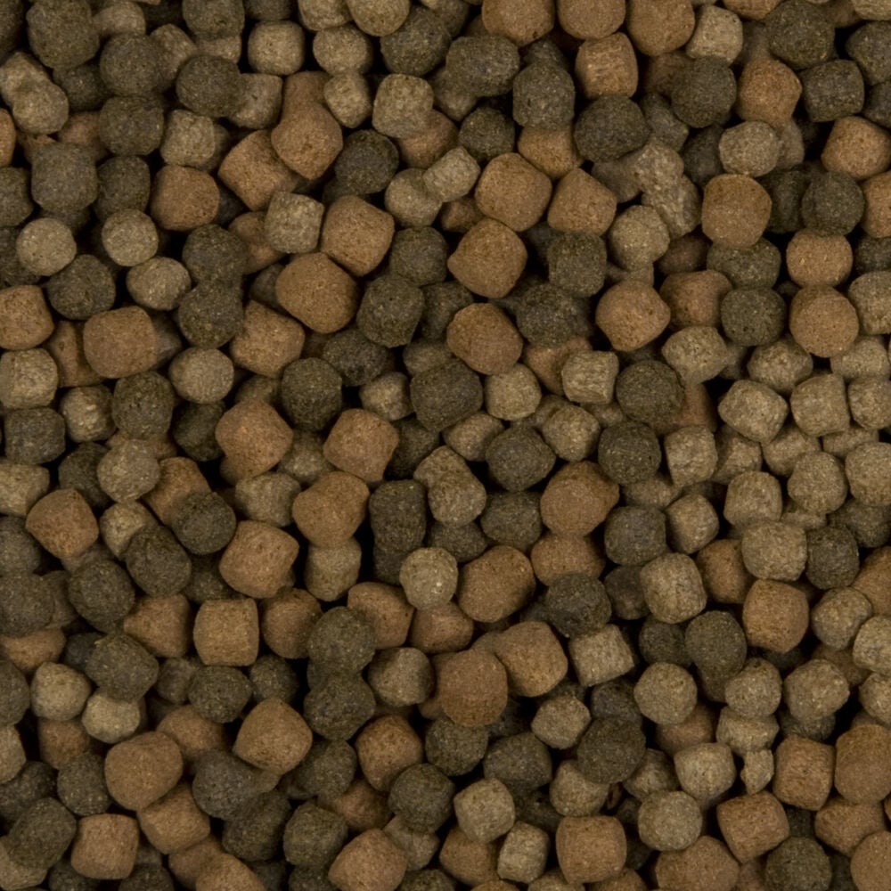 SaniKoi Colour Hi-Grow Mix 6mm - Vijvervissenvoer - 3 Liter