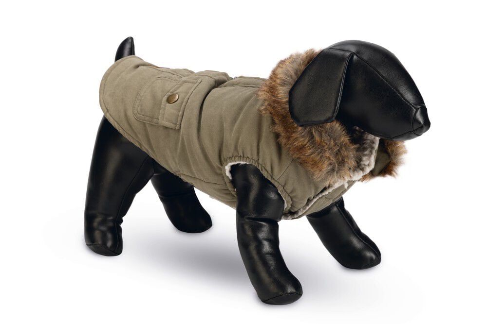 Designed by Lotte Philos - Hondenjas - groen - S/m Designed by Lotte Philos - Hondenjas - groen - S/m