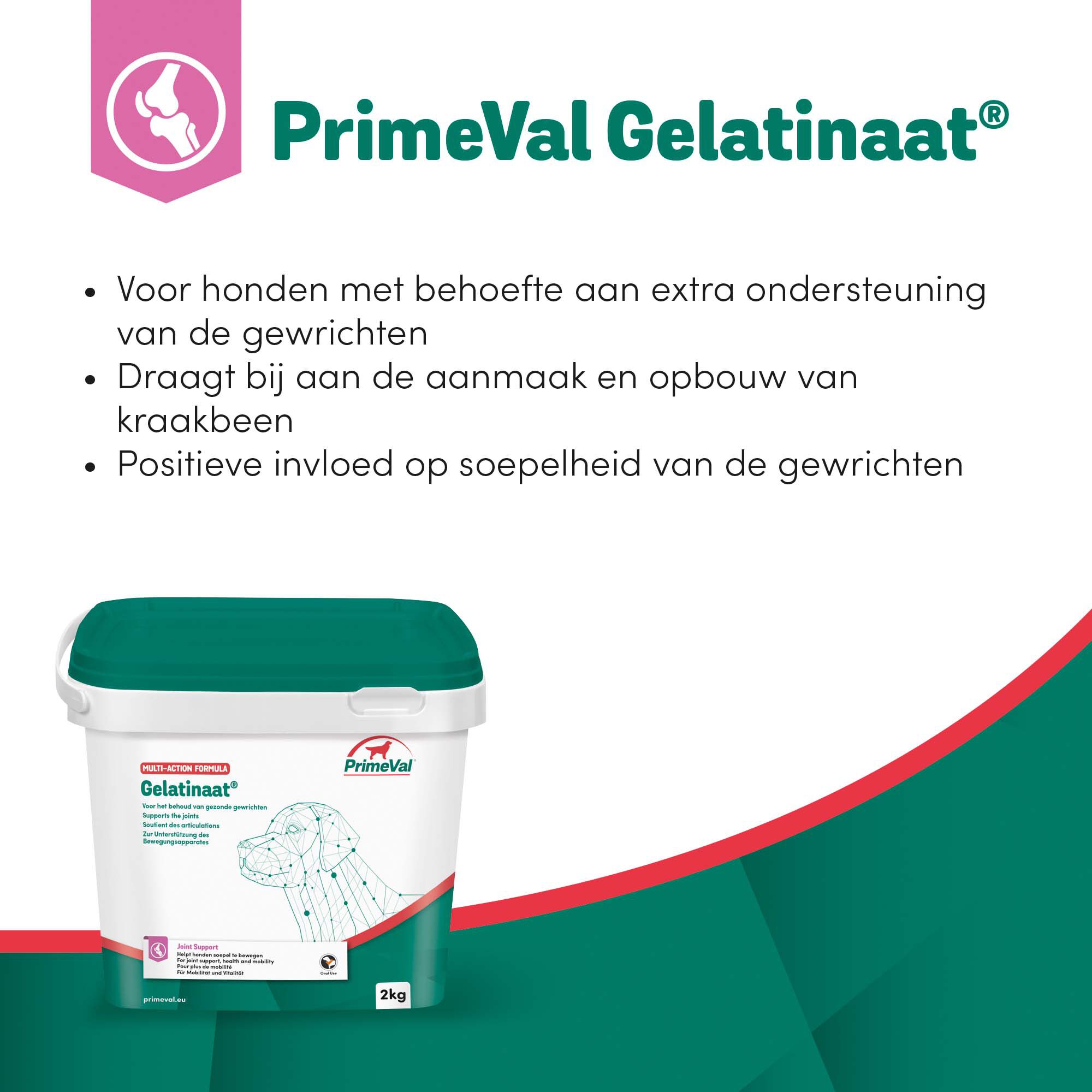 Primeval Gelatinaat Hond - Voedingssupplement - 2 Kilogram