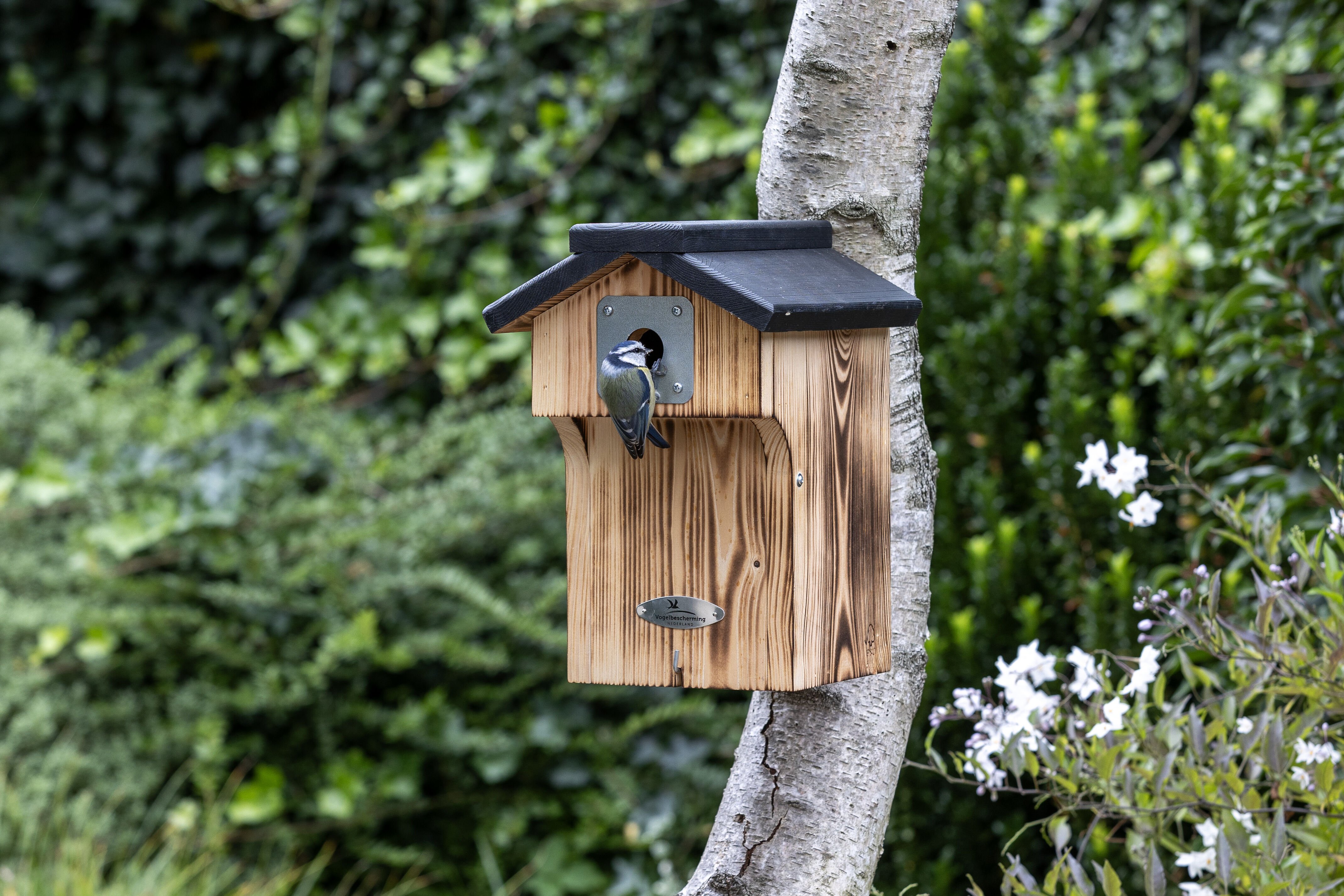 Vogelbescherming - Denton - Nestkast - Bruin, Zwart