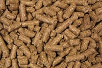 Voermeesters Huid Vitaal - Specialiteit - 20 Kilogram - Zak