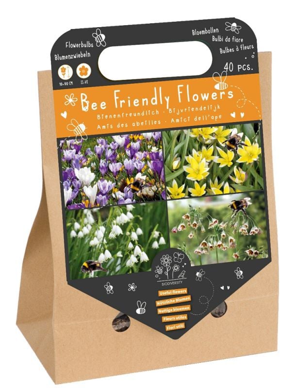 Welkoop Tulp Allium Zomerklokje - Biodiversiteit - Bloembollen