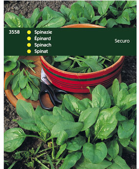 Hortitops Spinazie Spinacia oleracea Securo - Spinazie - 100 Gram