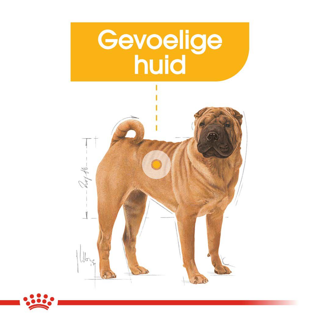 Royal Canin SHN Medium Dermacomfort - Hondenvoer - 3 Kilogram - gevogelte