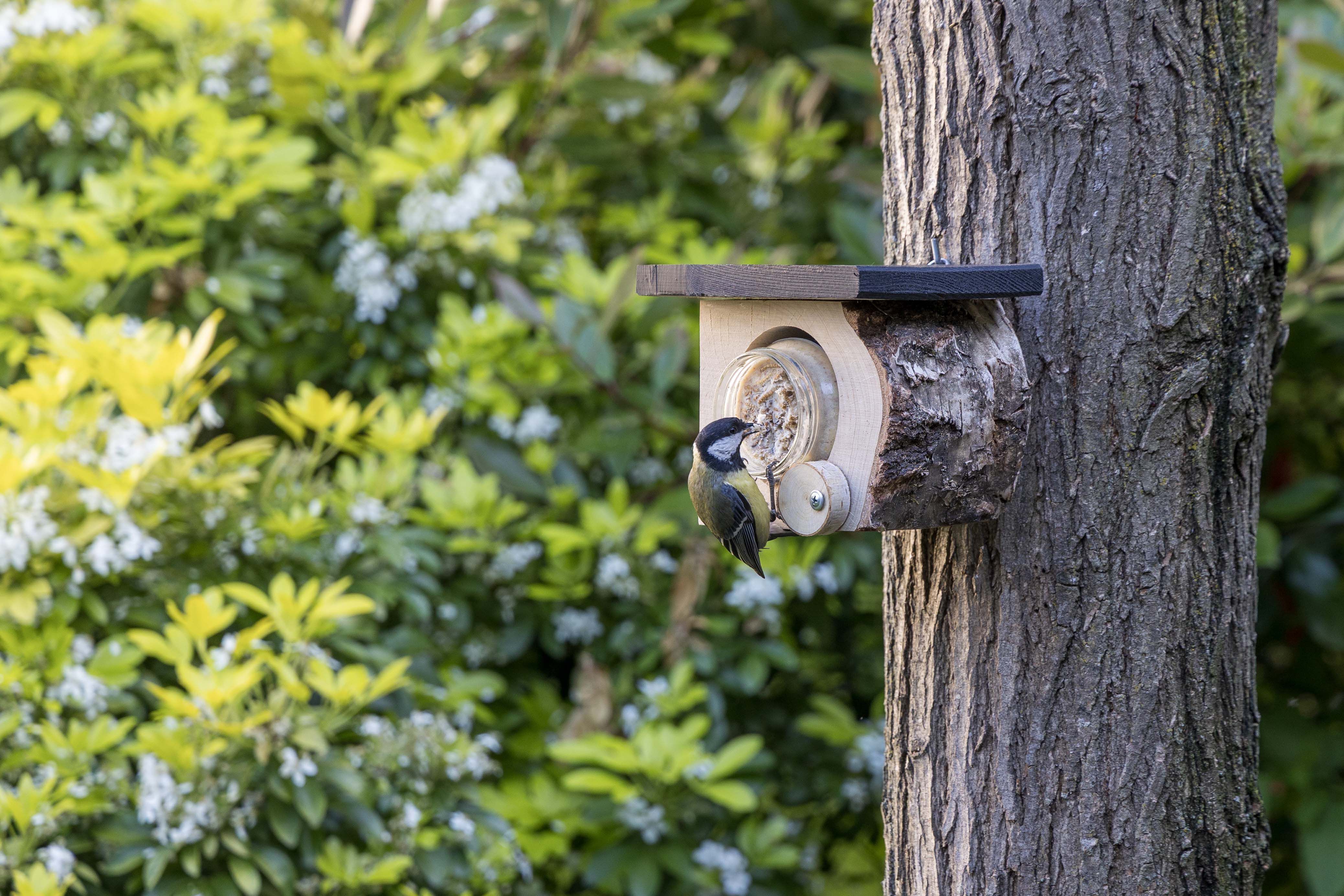 CJ Wildlife Quebec - Pindakaaspothouder - Tuinvogels - 17x13x14 cm