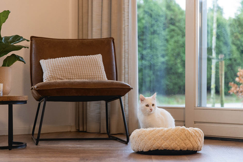 Beeztees Levisa - Ligmand - Beige - 10x43x10 cm