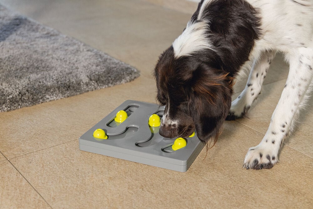 Beeztees Braingame Looki - Puzzel - Hondenspeelgoed - Multi - 4.5x28x28 cm