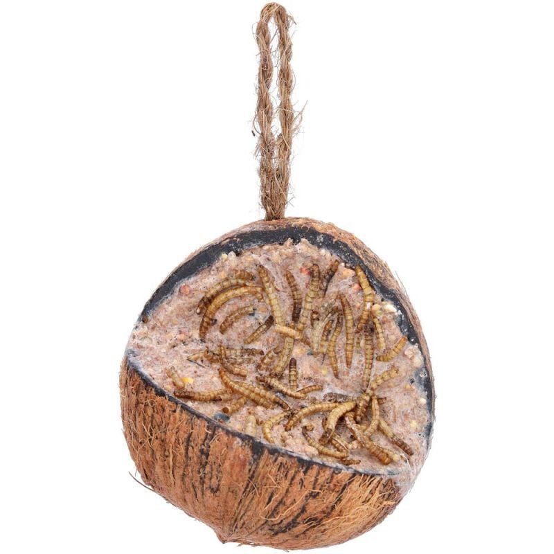 Welkoop - Kokosnoot met Meelwormen - Tuinvogelvoer