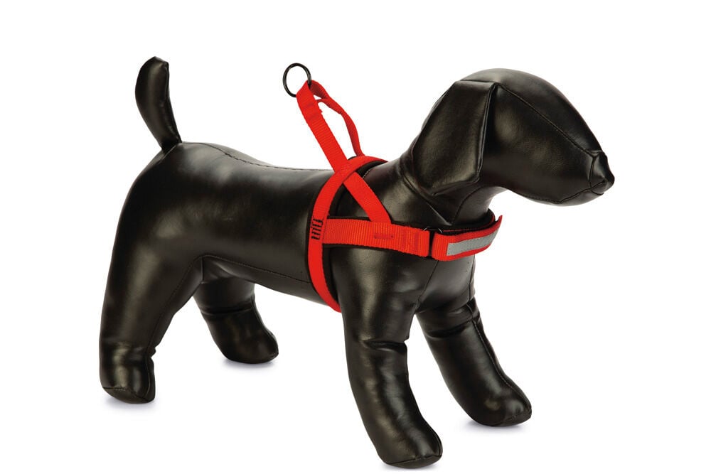 Beeztees Premium Parinca - Hondentuig - rood - 62 tot 75 cm Beeztees Premium Parinca - Hondentuig - rood - 62 tot 75 cm