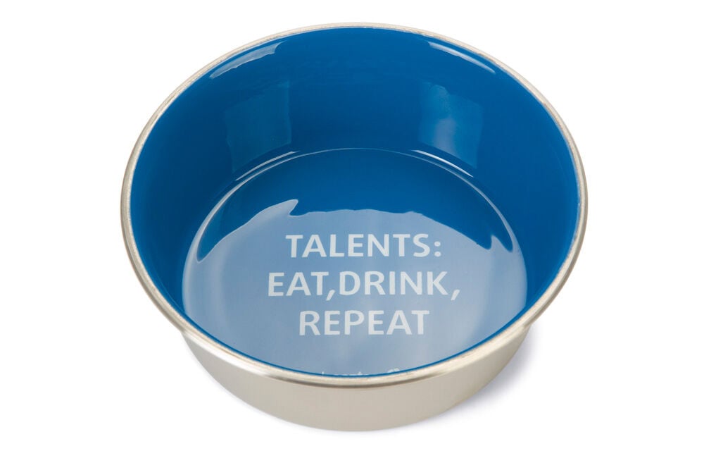 Beeztees Talents Hond RVS - Voer en drinkbak - Blauw - 20 cm Beeztees Talents Hond RVS - Voer en drinkbak - Blauw - 20 cm