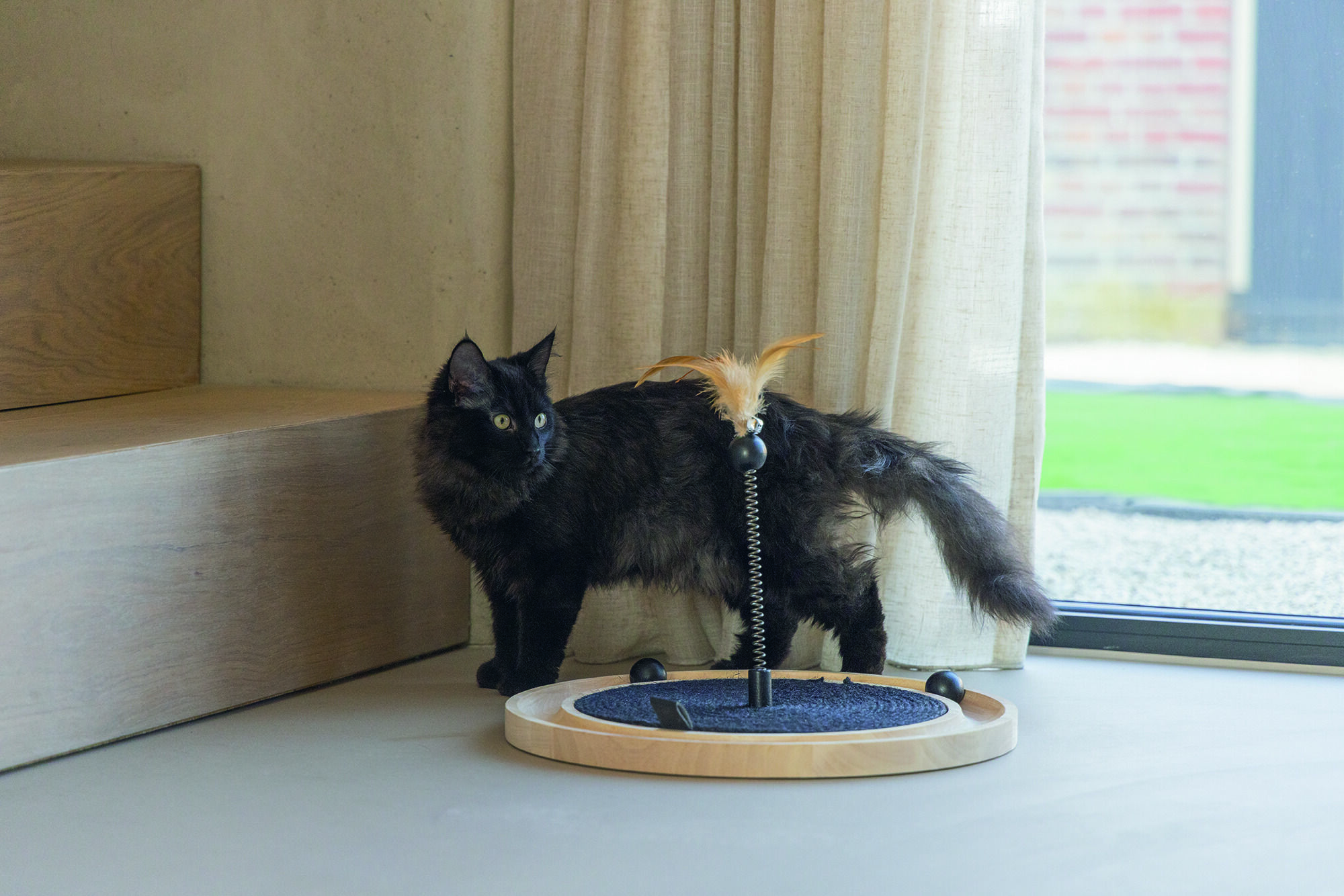 Designed by Lotte Idah - Kattenspeelgoed - zwart