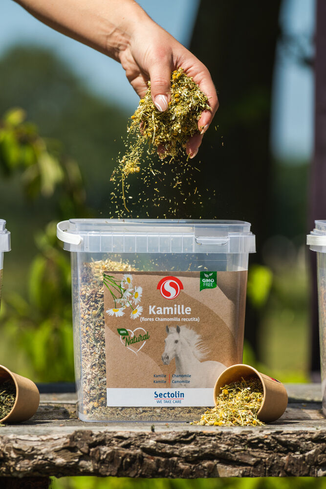 Sectolin Kamille Kruid - Kalmeringssupplement Paard - 0.5 Kilogram - Emmer