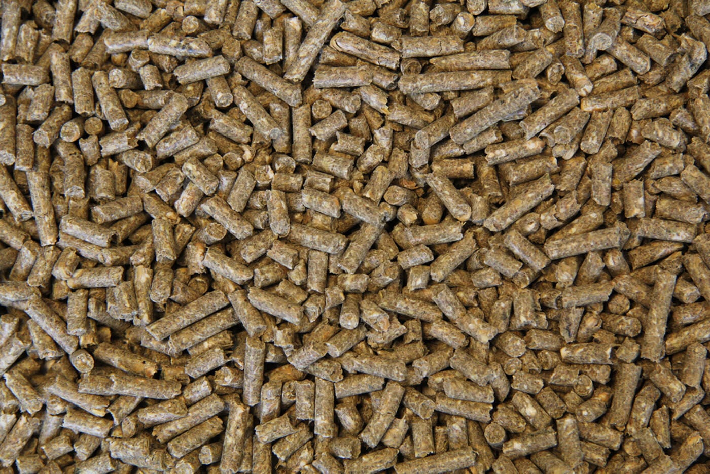 Voermeesters Veulen - Fokkerij - 20 Kilogram - Zak