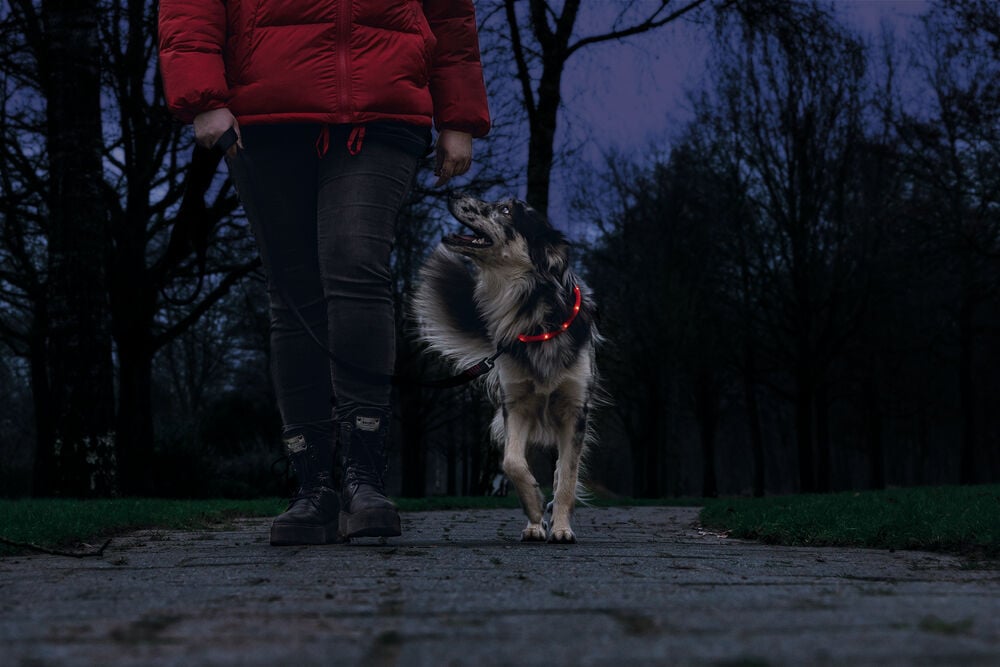 Beeztees Dogini USB - Lichtgevende Halsband  - Hond - rood - 70 cm