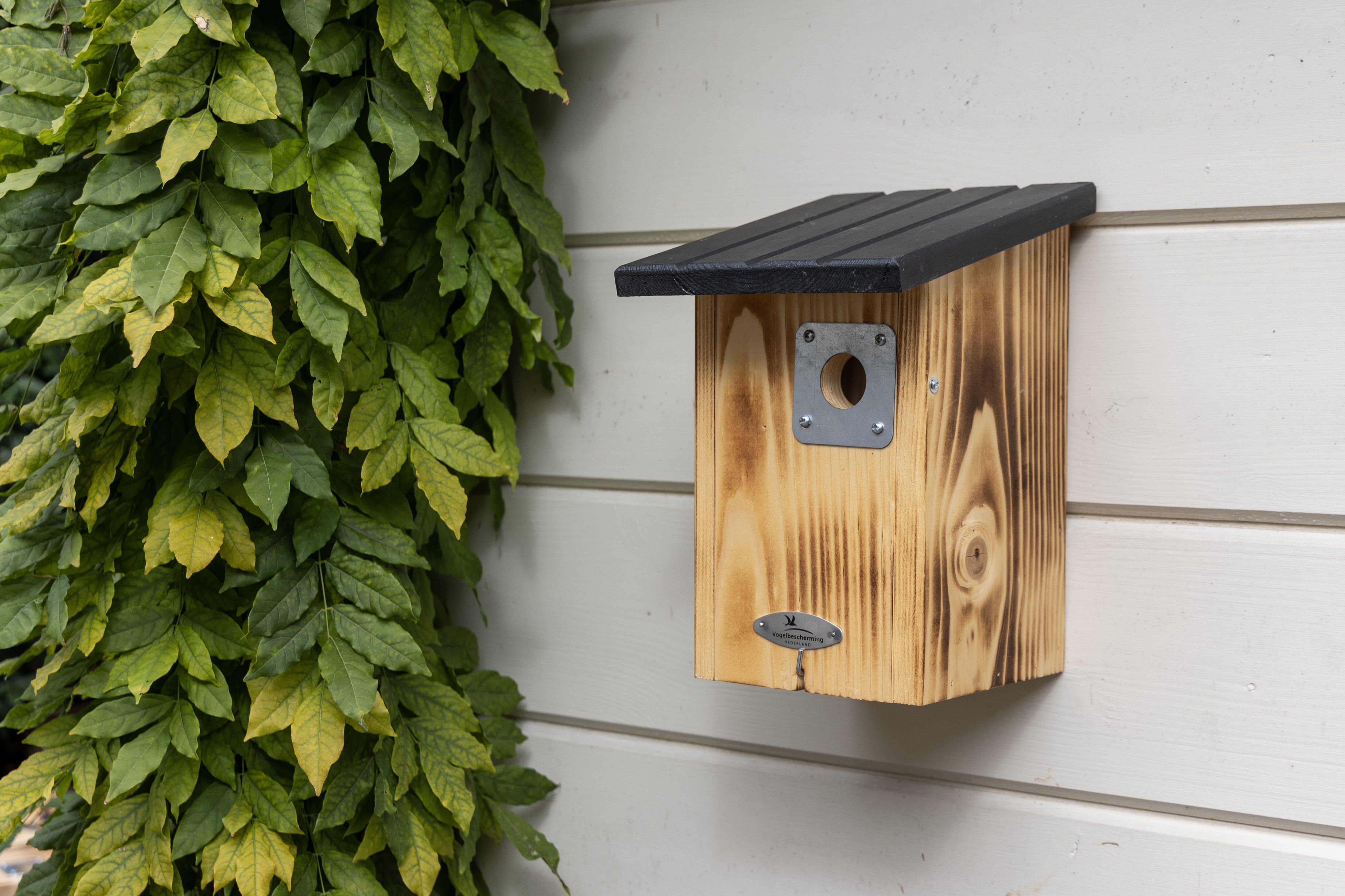 Vogelbescherming - Arlington - Nestkast - Bruin, Zwart