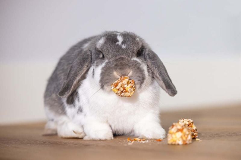 Beeztees Cones - Knaagdiersnack - 10 Stuks - appel